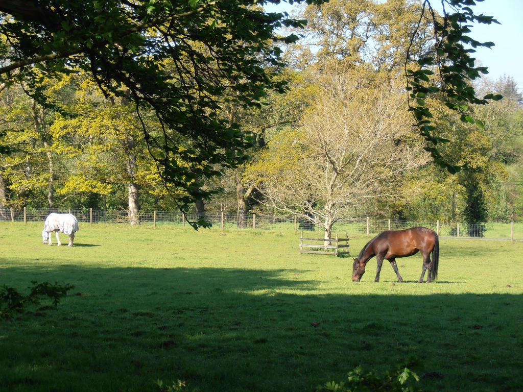 Riversdale Farm B&B Ballinamore Exterior foto