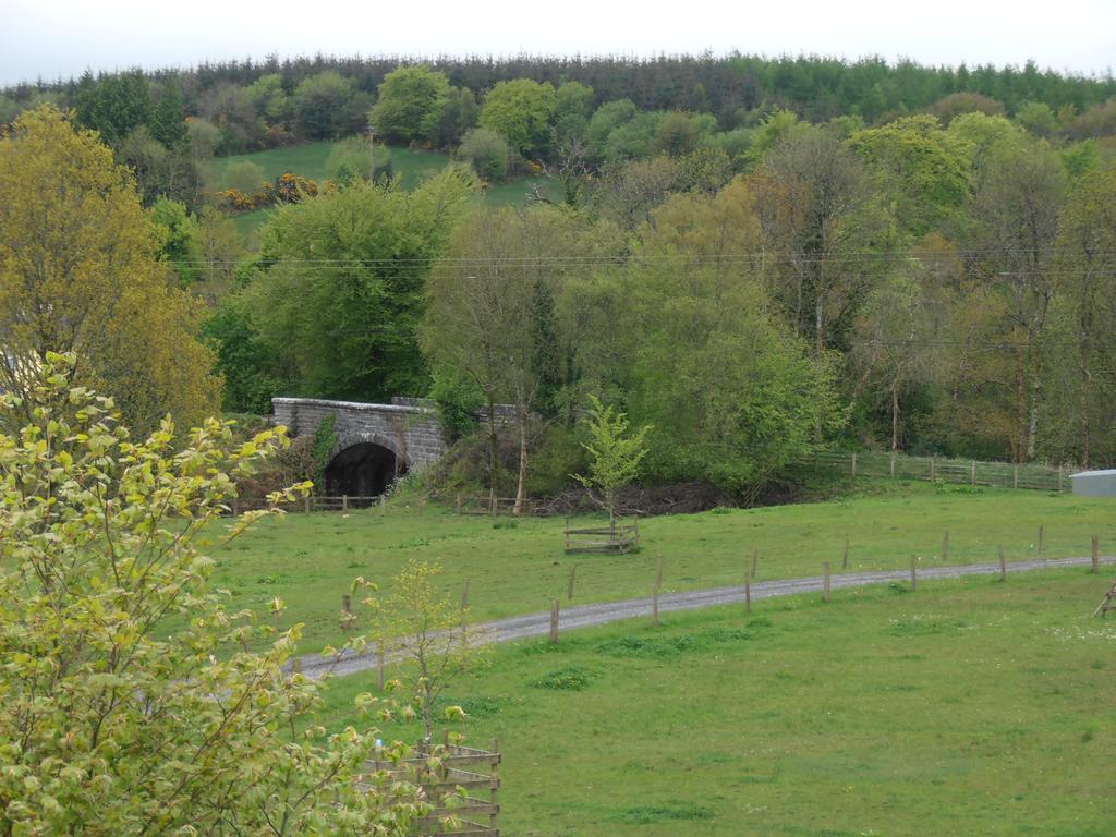 Riversdale Farm B&B Ballinamore Exterior foto